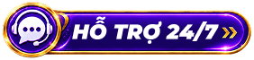 Hỗ trợ 24/7